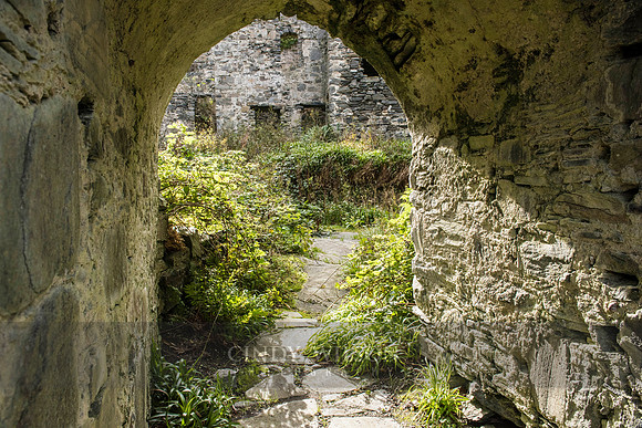 Castle Ruins
