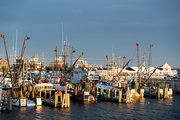 Fishing Boats, Galilee