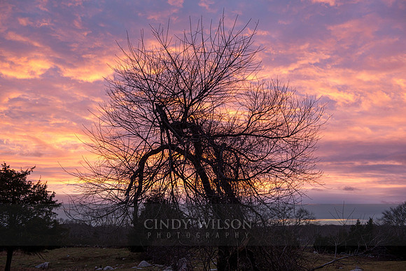 West Greenwich Sunset
