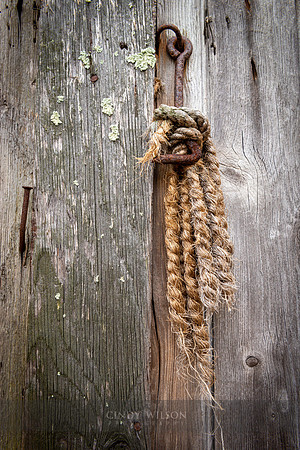 Braided Hasp