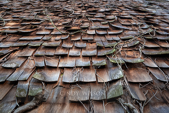 Shingles and Vines