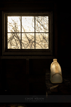 Luminous Glow