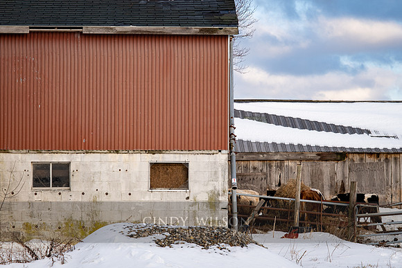 Orr Farm, Oneco, CT
