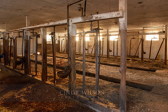 Barn Interior Whaley Farm, South Kingstown