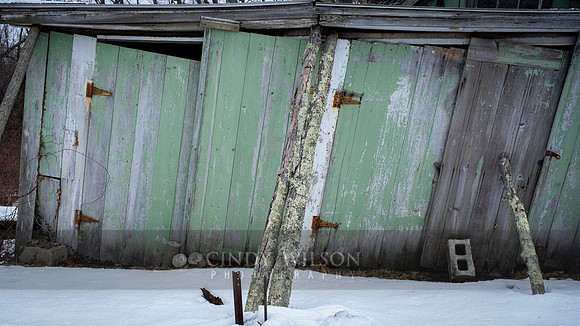 Leaning Green, South Kingstown
