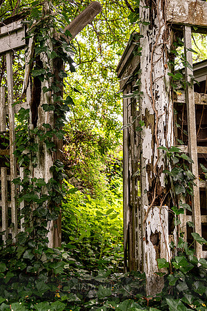 Another Green World, Saunderstown