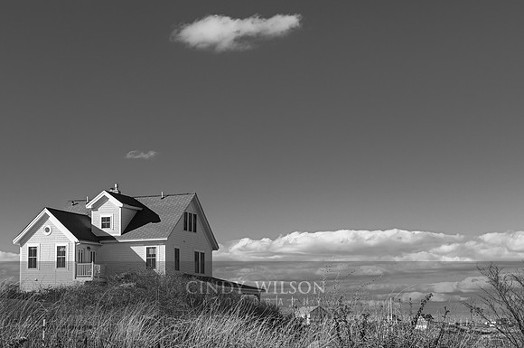 Crescent Beach Cottage, 2008