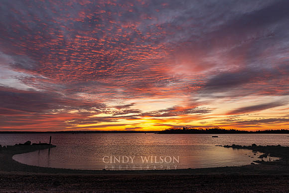 Hugging the Sunrise, Hamilton