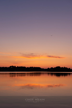 Sunrise Cloud, Wickford