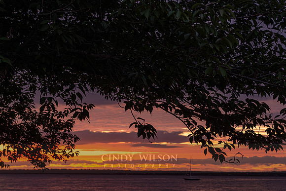 Sunrise Silhouette, Wickford