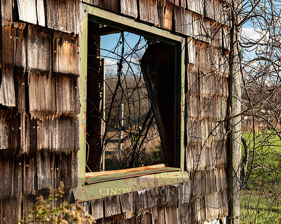 Seeing Through