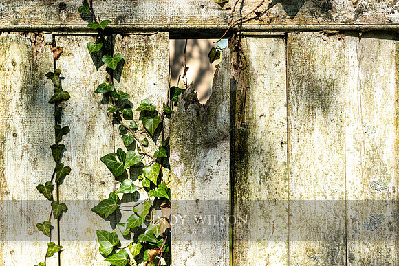 Hole in the Fence, Wickford, RI