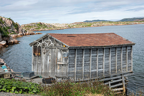 Fishing Stage, Deep Bay, Fogo Island