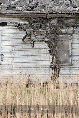 Twisted Vine, Bivalve, NJ