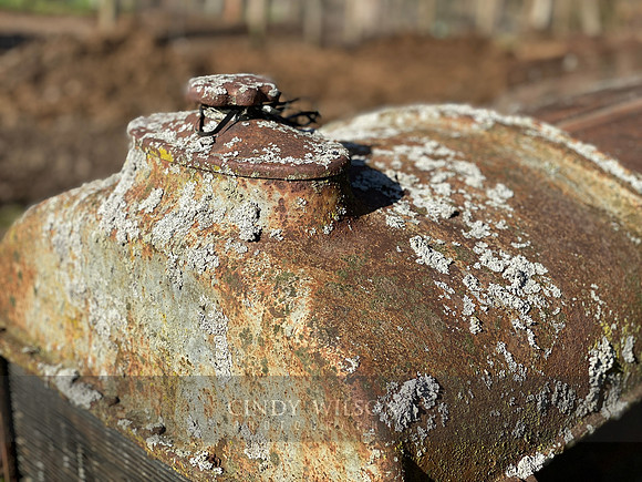 Sourdough
