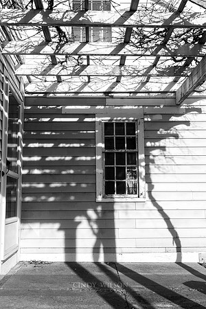 Pergola, Wickford