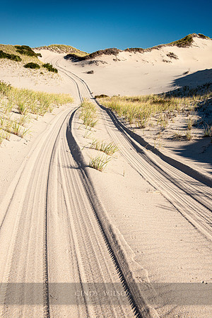 Road through the Dunes, Cape Cod National Seashore
