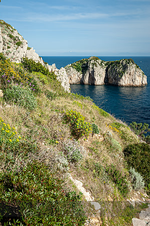 Rocky Outcroppings, Capri