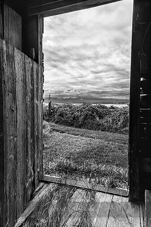 Littlefield Farm View