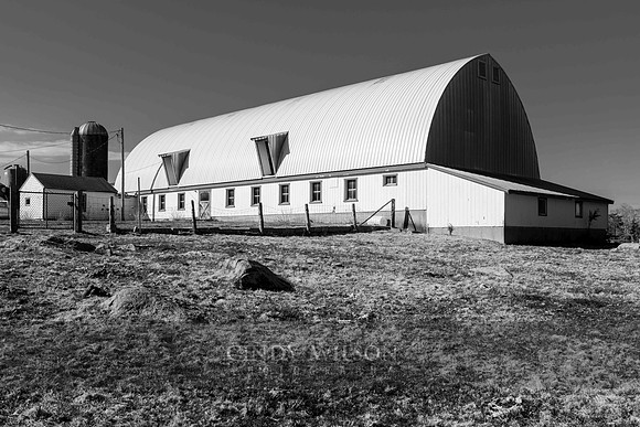 Dairy barn, Westerly