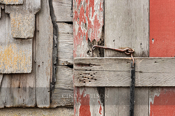 Shingle Collage
