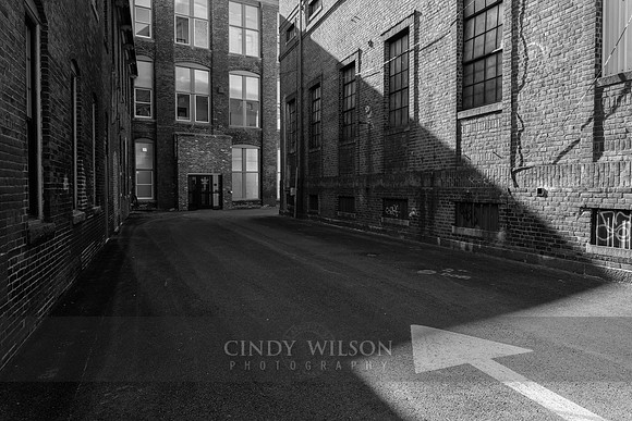 Shadowed Passage, Worcester