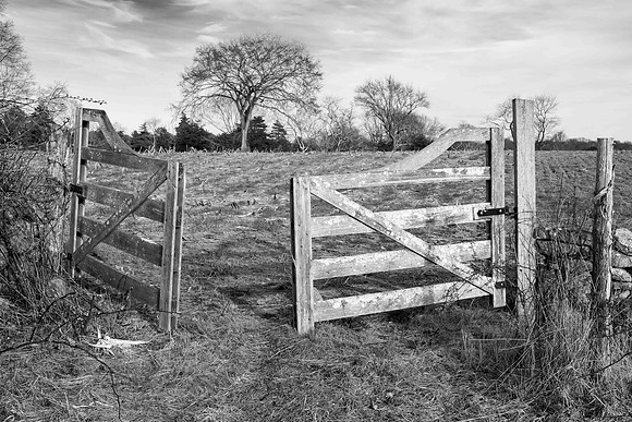 Pasture Gate