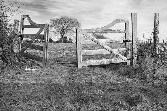 Pasture Gate Low