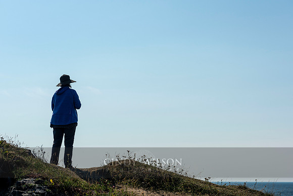 Looking for Whales, Crow Head, Twillingate