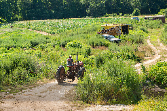 Tractor, Ashaway