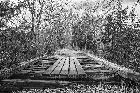 Trestle Remnants
