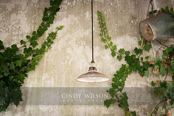 Ivy Fixture