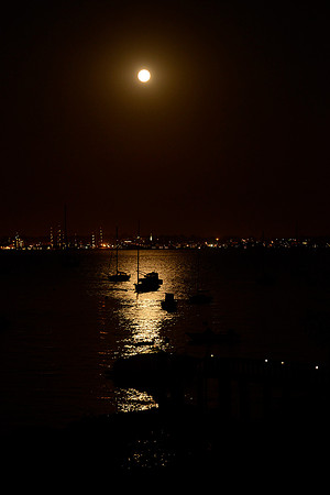 Moonlight View