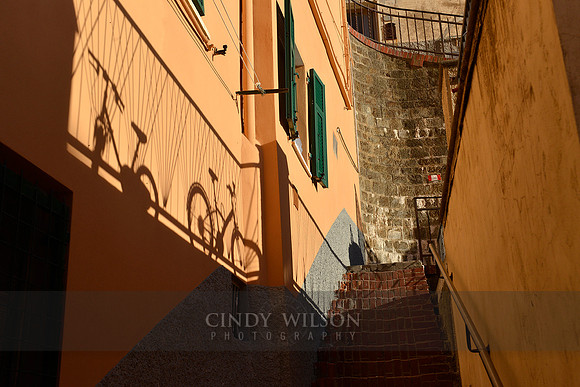 Bike Shadows