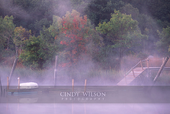 Autumn Mist, Loop Drive