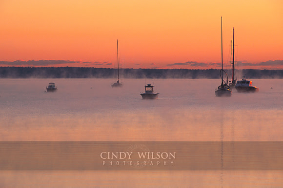 Sea Smoke at Sunrise, Wickford
