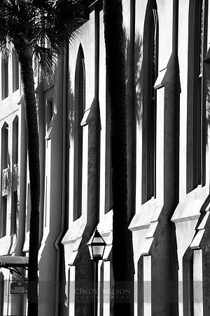 Savannah Facade