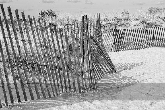 Beach Fence