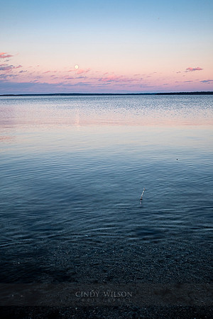 Moonrise, Town Beach, Wickford