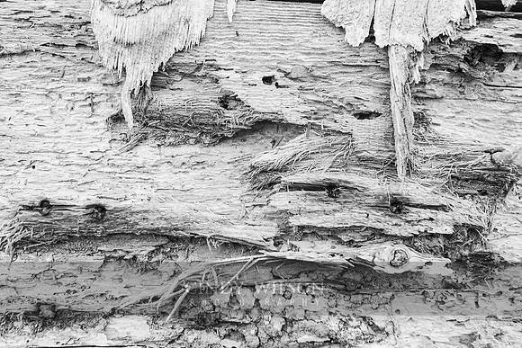 Wooden Textures