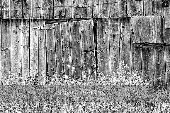 Barn Remnants, Spring, West Greenwich