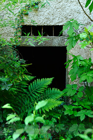 Overgrown Bunker