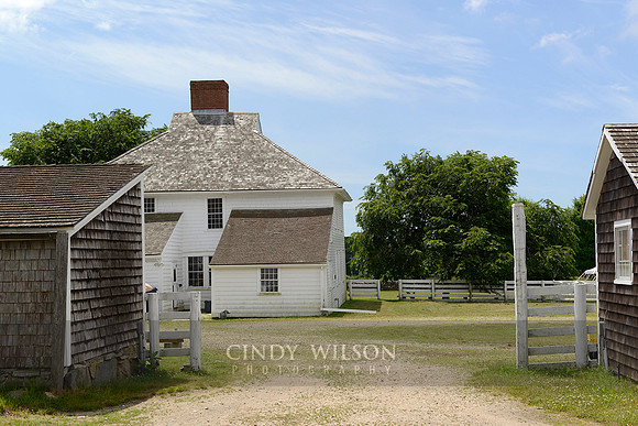 Wilson_DSC0003