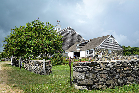 Wilson_DSC0019