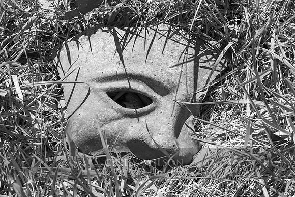 Discarded