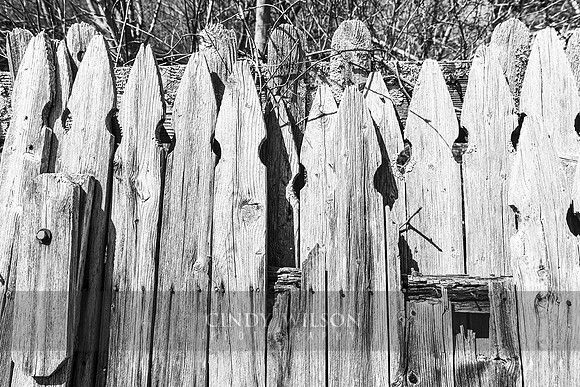 Fence Posts