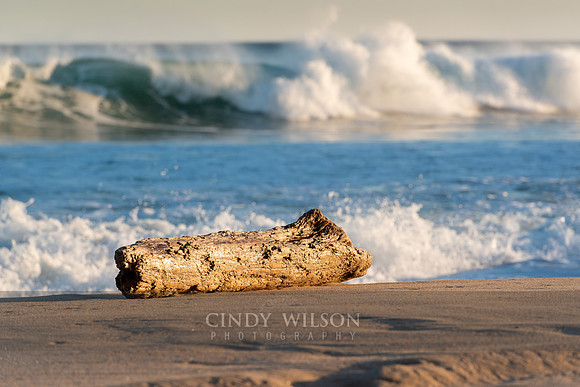 On the Beach, Watch Hill