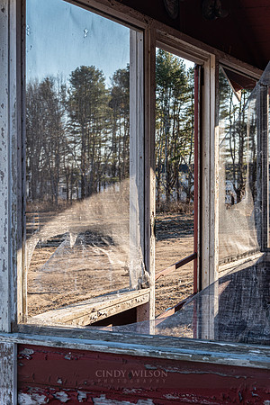 Torn Screens, Stonington, CT