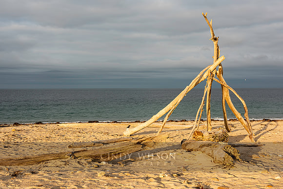 Beach Sculpture, Block Island