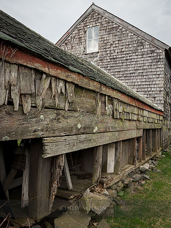 Back of the Barn